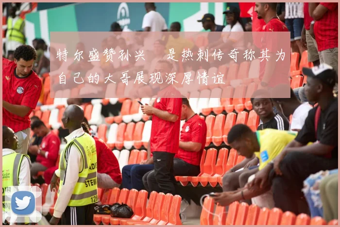 特尔盛赞孙兴慜是热刺传奇称其为自己的大哥展现深厚情谊