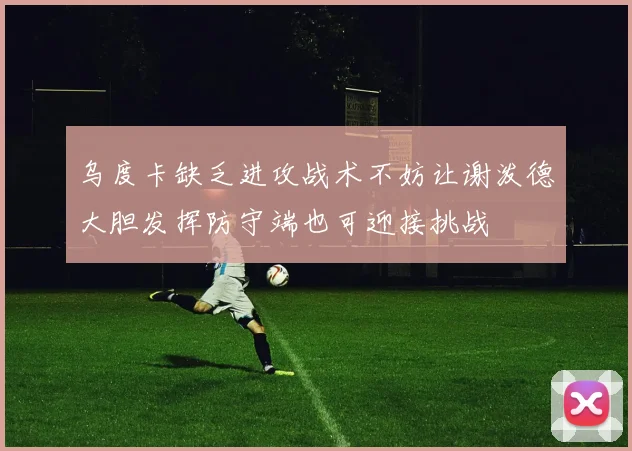 乌度卡缺乏进攻战术不妨让谢泼德大胆发挥防守端也可迎接挑战
