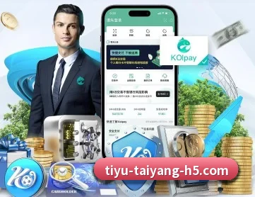 太阳城 APP 深度功能